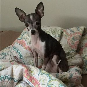 Meet your Posher, Tanaya